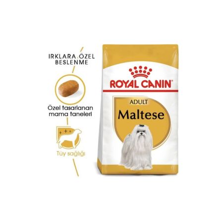 Royal Canin Maltese Bichon Maltais Yetişkin Köpek Maması 1.5 kg