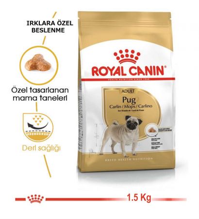 Royal Canin Pug Adult Köpek Maması 1,5 kg.