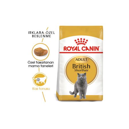 Royal Canin British Shorthair Yetişkin Kedi Maması 4 kg
