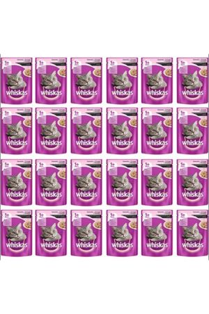 Whiskas Pouch Somonlu Yaş Kedi Maması 24x100g