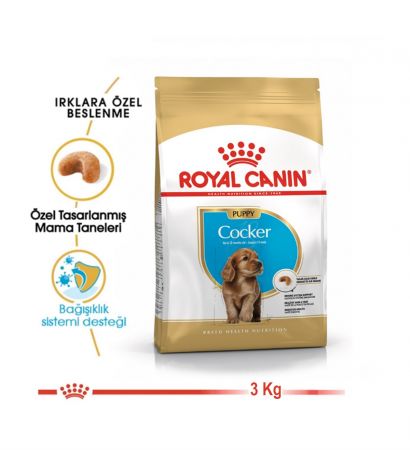 Royal Canin Cocker Junior Yavru Köpek Maması 3 kg