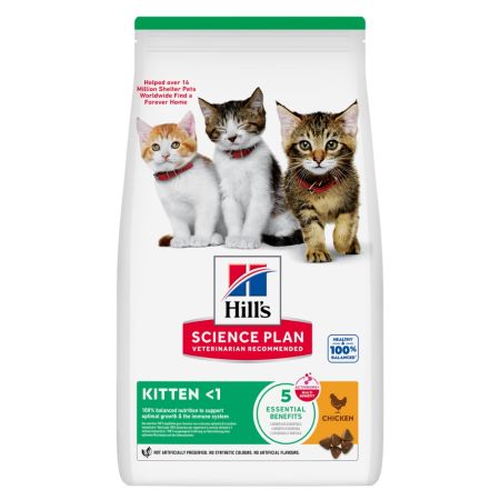 Hill's Science Plan Kitten Tavuklu Yavru Kedi Maması 3 kg