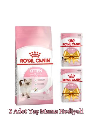 Royal Canin Kitten 36 Yavru Kedi Maması 2 kg + 2 Adet Yavru Kedi Yaş Maması