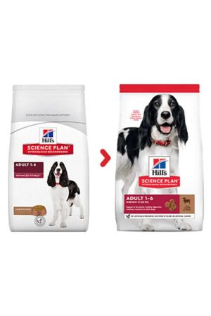 Hill's Science Plan Kuzu Etli Orta Irk Yetişkin Köpek Maması 14 kg