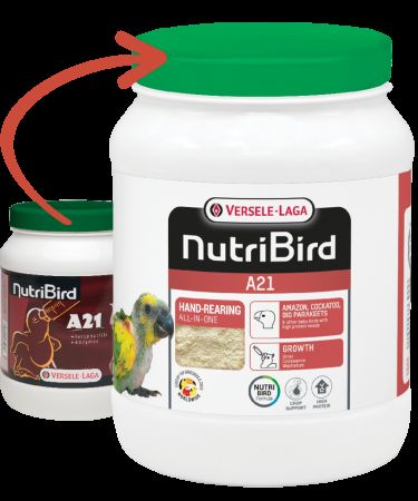 Versele Laga Nutribird A21 Yavru Papağan Elle Yetiştirme Maması 800 Gr